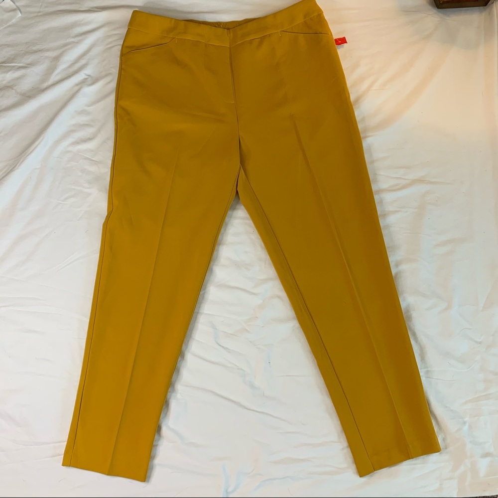 Zac & Rachel Dress Pants